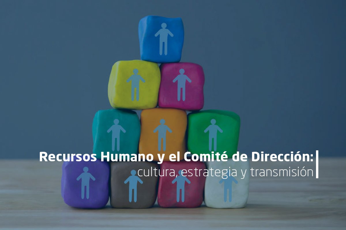 Recursos Humanos y Comité de Dirección