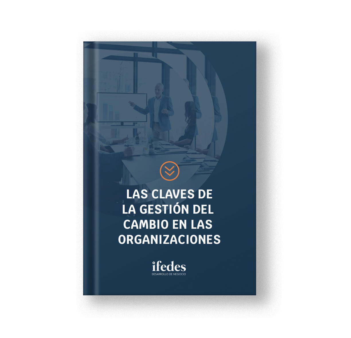 LAS CLAVES DE LA GESTIÓN DEL CAMBIO EN LAS ORGANIZACIONES | Ifedes ...